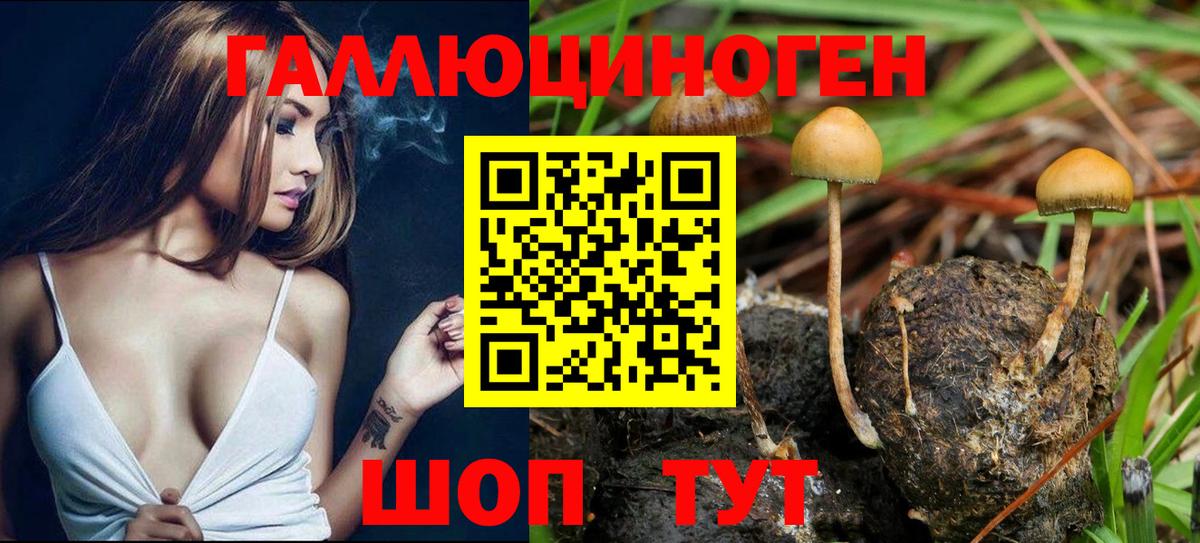 Псилоцибиновые грибы GOLDEN TEACHER  как найти закладки  Переславль-Залесский  Вход с VPN 