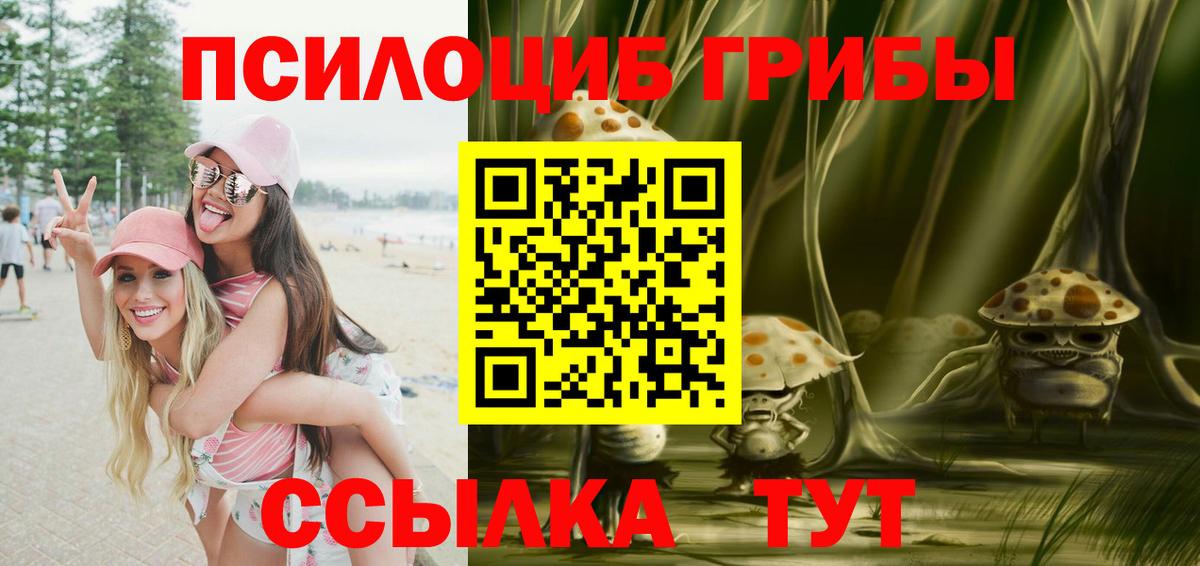 Псилоцибиновые грибы Psilocybe Переславль-Залесский